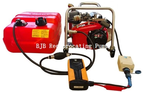 QB260D-TB Portable Forest Fire Pump suppliers